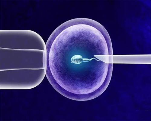 石家庄助孕医院深度解析：优选不孕不育治疗机构