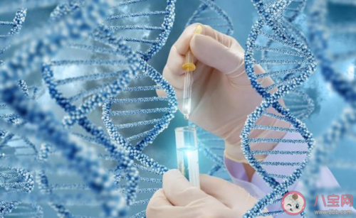 深圳三代试管婴儿医院大揭秘(深圳三代试管三代试管价格)