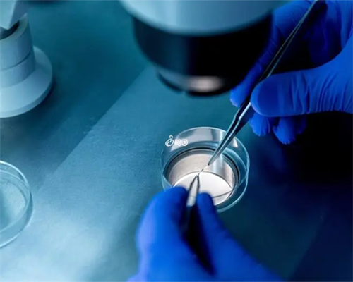 香港大学深圳医院试管婴儿收费指南