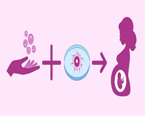 2026年深圳试管婴儿成功率分析:助孕技术与成功几率