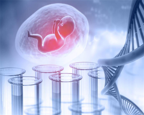 2026石家庄辅助生殖费用揭秘:助孕、代生、代怀价格参考