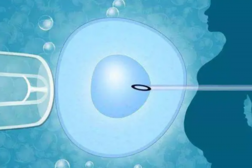 石家庄助孕机构的选择与注意事项：专家解读卵泡发育与试管婴儿