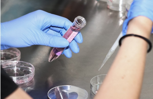 深圳妇幼保健院做试管婴儿成功率高吗？深圳妇幼试管婴儿花费明细表？