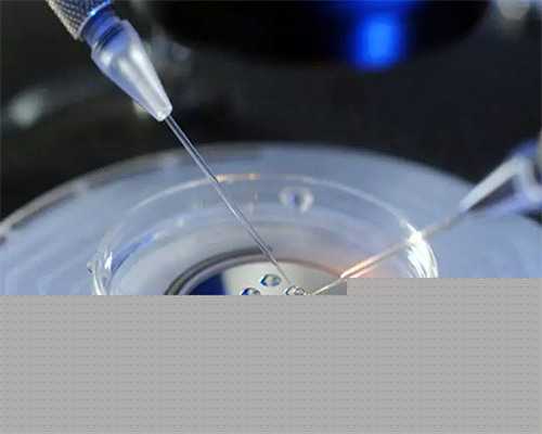 探寻优质助孕服务：广州领先的辅助生殖机构推荐