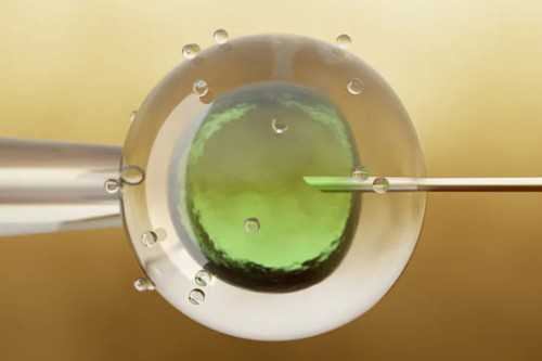 深圳夫妇做试管婴儿 les可以去试管婴儿吗[详细说明]