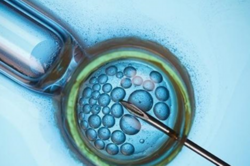 揭秘各地试管怀孕费用标准，了解您的生育助孕新选择