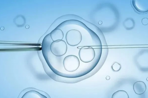 宿迁试管婴儿费用大约多少,深圳做试管婴儿费用