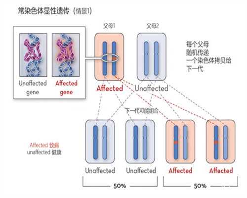 试管助孕费用如何计算?解析生宝宝助孕价格