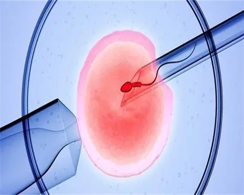 解读石家庄三代试管婴儿费用与成功率