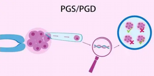 石家庄供卵中心费用,石家庄助孕费用-石家庄辅助生殖中心