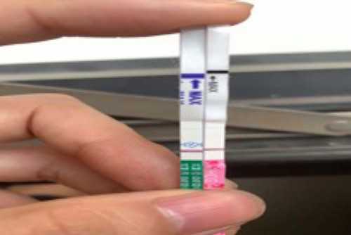 广州三大助孕公司坤和怎么联系,广州哪个助孕机构好-最靠谱的代怀