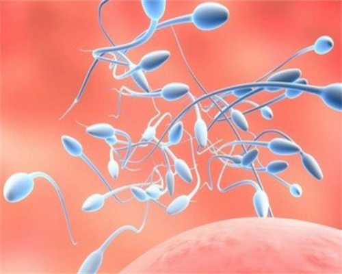 石家庄二代试管婴儿费用揭秘,影响助孕价格的因素分析