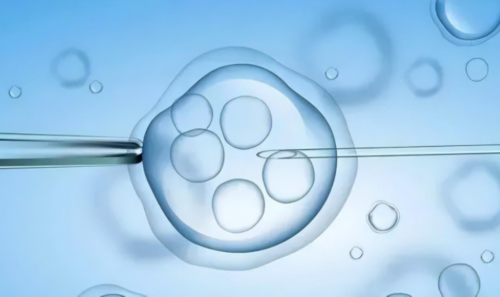 2026赴美生子机构前沿指南