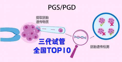 石家庄试管婴儿费用解析：生育之旅的经济考量