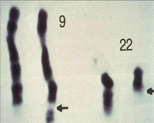 石家庄三代试管助孕费用揭秘：2026年助孕费用参考