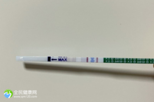 揭秘港大深圳医院试管婴儿费用与医生团队