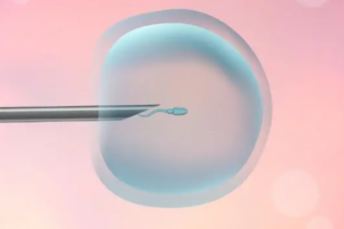 深圳市生育试管婴儿医院好 试管婴儿费用大概多少