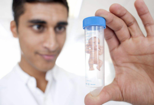 第三代试管婴儿助孕生双胎：成功率与关键影响因素解析