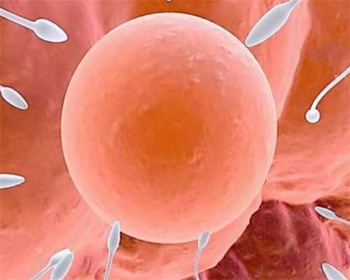 石家庄试管助孕：选择成功率高的医院，迎接好孕