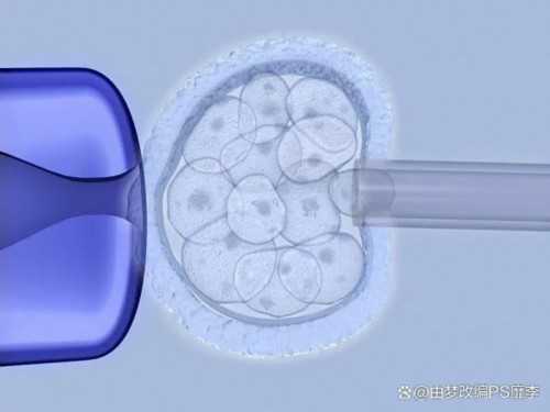 2026年试管婴儿助孕费用解析