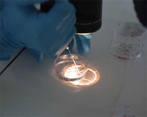 石家庄三代试管助孕费用解析：医疗、药品及辅助治疗详解