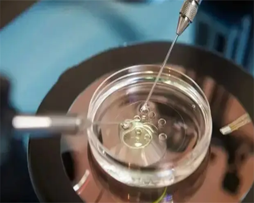 石家庄三代试管婴儿助孕合法吗(石家庄三代试管婴儿机构)