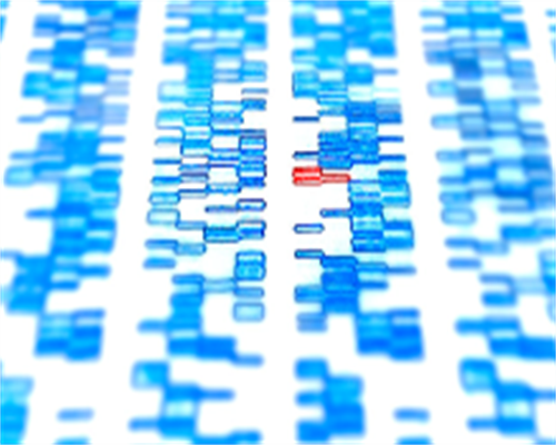 石家庄试管助孕技术解析:哪些医院成功率高?