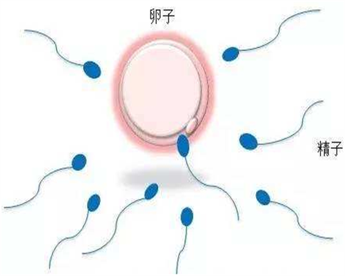 深圳三代试管生孩子靠谱吗