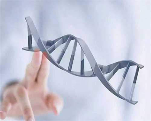 石家庄正规助孕机构指南：了解香港验血查性别与辅助生殖