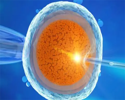 深圳市罗湖区人民医院试管怎么样？试管价格贵不贵？