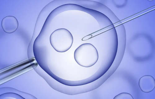 影响胚胎着床成功率的关键因素解析