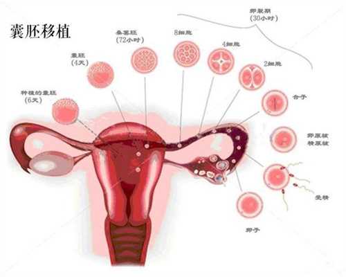 荆州哪里可以代孕：孕妇怎么吃对胎儿有利？