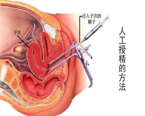 连云港代孕的合法性：孕妇的肚子能让别人摸吗