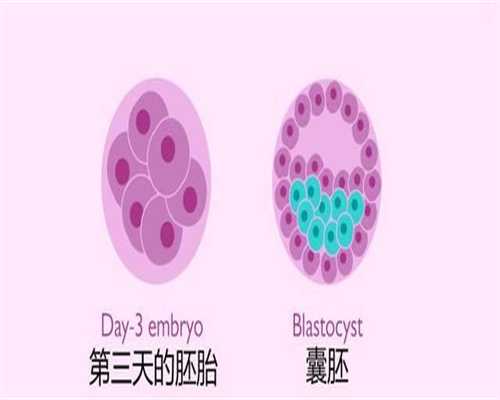 广东代孕妇服务：孕酮低吃什么补得快？