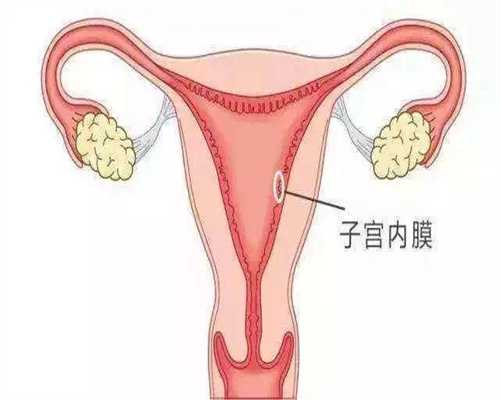济南代孕产业：学做两汤，营养健康，孕妇最适
