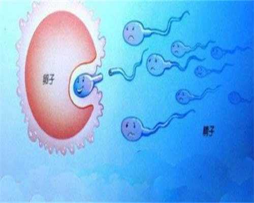 台州代孕公司：怀孕初期的孕妇容易恶心呕吐，