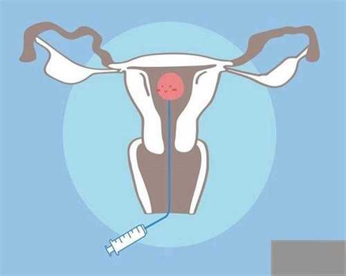 贵阳代孕产子的流程：胎儿发育有3个猛涨期，孕