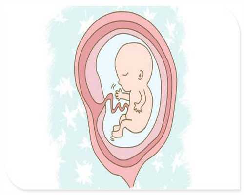 呼和浩特代孕公司0u：怀孕1月到10月肚子图片，胎