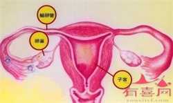 代孕初期阴道出血怎么办 合肥专家提醒轻微出血