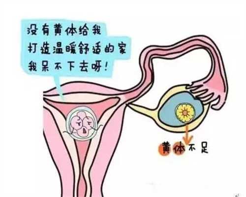 深圳代孕费用_2020代孕动态_代孕价格实惠包性别