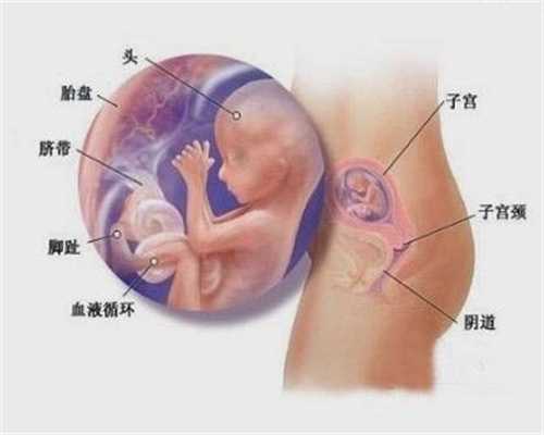 深圳代孕一对一咨询_代孕大概多少钱_代怀孕公司咨询处