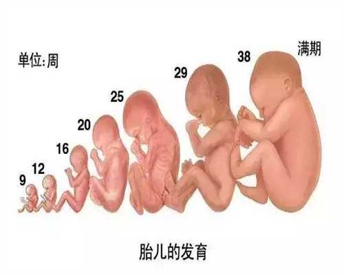 深圳代孕微信_济南代孕成功率多少_济南代孕需要什么条件