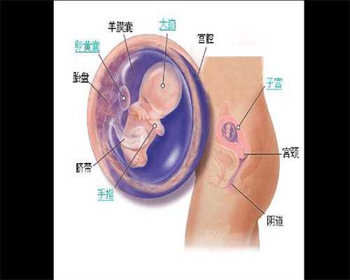 深圳代孕在哪里_2020年代孕费用是多少_代孕手术检查费用