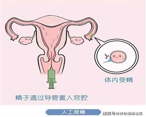 深圳有代孕机够吗_深圳代孕全过程的流程介绍_上海添丁生殖集团_美国试管婴儿