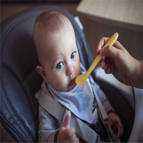 天津供卵试管婴儿合法吗_九个月的宝宝能吃什么菜
